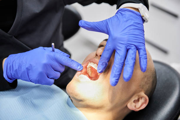 Best Emergency Denture Repair in Minerva Park, OH